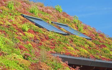 Woolaston Slade living roof systems